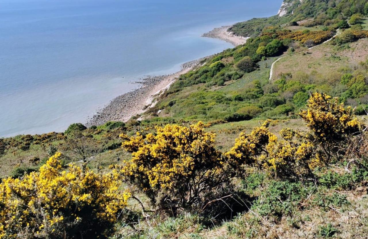 Elegant Spacious Seaside Apartment St Leonards-on-Sea Luaran gambar